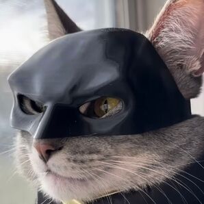 猫 ネコ バットマンマスク S/Mサイズ セット ハロウィン