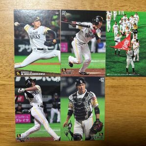プロ野球チップス