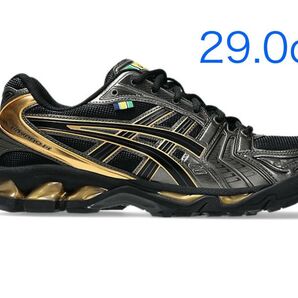 Ayrton Senna × Asics Gel-Kayano 14 BLACK