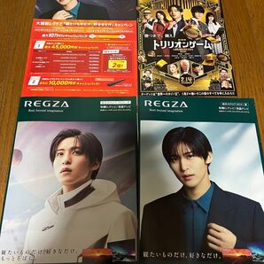 REGZA カタログ 目黒蓮