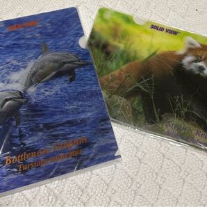 SOLID VIEW 3D レンチキュラー印刷 クリアファイル レッサーパンダ イルカ 動物 動物園 ショップ お土産 おみやげ