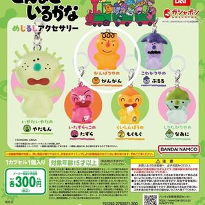 こんなこいるかな めじるしアクセサリー 【がんがん】 ガチャガチャ