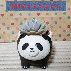リトルレジンポット パンダ