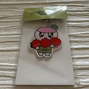 SEVENTEEN ボンボンイ キーリング 福岡 みずほPayPayドーム 未使用