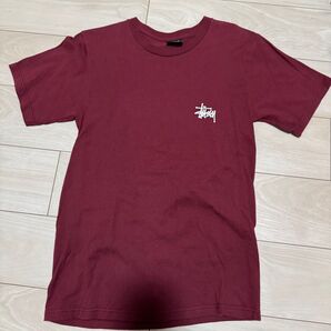 STUSSY Tシャツ Sサイズ あずき色