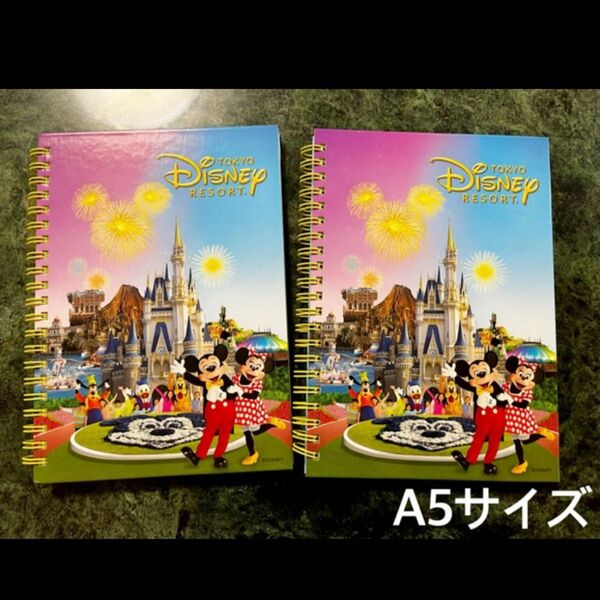 東京ディズニーリゾート×三井ホームの限定ノート2冊 リングノート