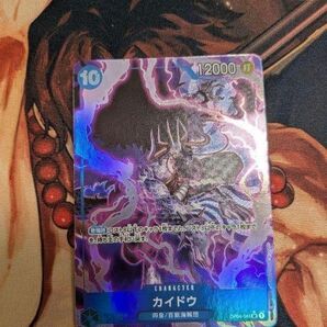 カイドウパラレル