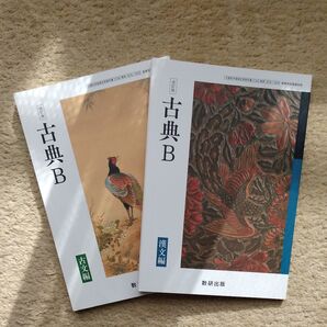 数研出版 古典B 古文編と漢文編のセット