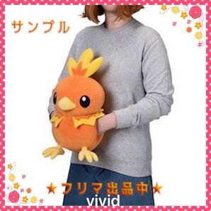 アチャモ ハンドマフ ぬいぐるみ ほんわかぽかぽか ポケモン ぬいぐるみ