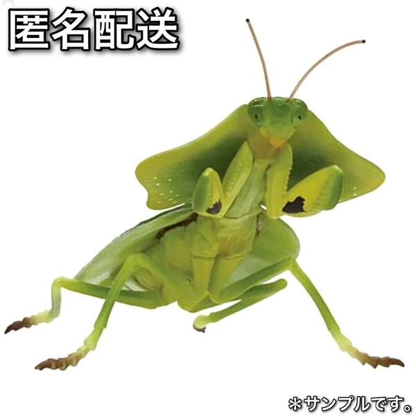 匿名配送 原色図鑑シリーズ 原色擬態昆虫 「 コノハカマキリ 」 #オオコノハムシ|ヒシムネカレハ|ハナカマキリ|コノハ ガチャ