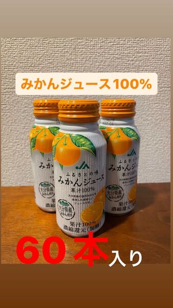 "みかんジュース100%"2箱(計60本)