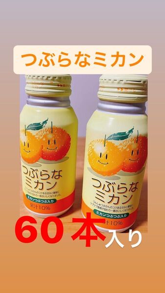 ジュース"つぶらなミカン"2箱セット(計60本入り)
