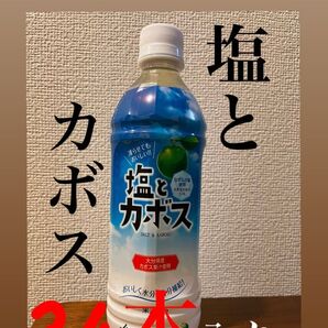 ジュース"塩とカボス"1箱(24本入り)