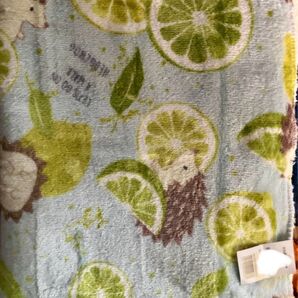 【新品未使用】ハリネズミ はりねずみ 針鼠 針ネズミ ライム 裏ボア ひざ掛け 約82×60㎝