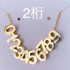 ナンバーネックレス ステンレスネックレス サージカルステンレス レディースネックレス メンズネックレス
