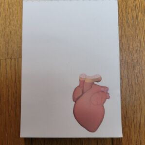 心臓の構造がイラストされているメモ帳です。数枚使用しています。