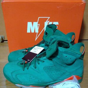 【中古美品 希少サイズ】NIKE AIR JORDAN 6 RETRO GATORADE GREEN
