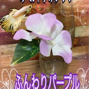 ベタ おやすみフラワー ふんわりパープル