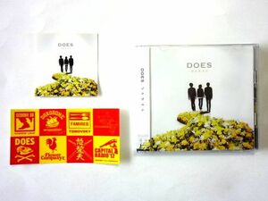 【CD/ステッカー 2種類】 DOES★今を生きる★完全生産限定盤★送料310円～