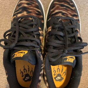 NIKE DUNK LOW(GS)