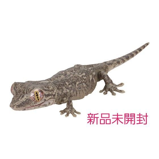 ニホンヤモリ ダークカラー いきもの大図鑑レプティ 新品未開封
