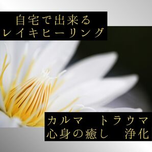 【特別価格】 開運 レイキヒーリング 1週間 癒しの波動 心身の浄化 心身健康 霊気 ヒーリング スピリチュアル リラクゼーション
