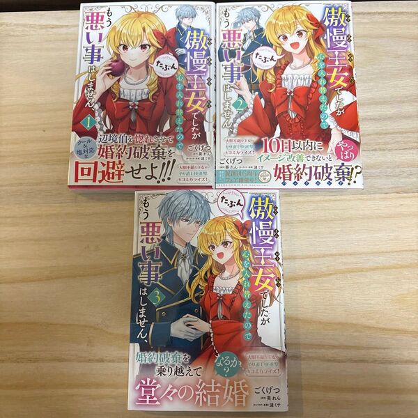傲慢王女でしたが心を入れ替えたのでもう悪い事はしません、たぶん 1.2.3巻(フロースコミック) ごくげつ/著 葵れん/漣ミサ