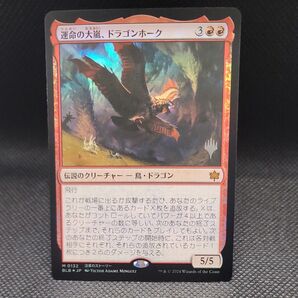 MTG 運命の大嵐、ドラゴンホーク プロモ Foil