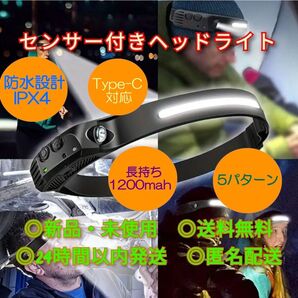 ヘッドライト 充電式 ライト コンパクト 軽量 LED 散歩 釣り 夜釣 整備 点検 キャンプ テント 蛍光灯 照明 ルアー 工事
