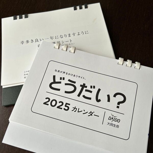 卓上カレンダー2025 2個セット どうだい パラリンアート ユーモア