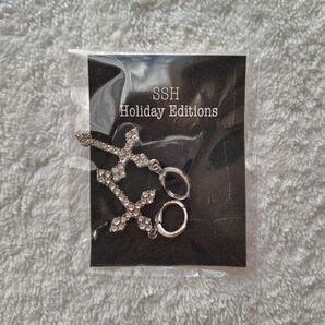 SSH クロスモチーフピアス 雷太 里中将道 植野堀誠