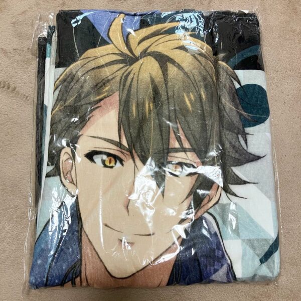 十龍之介ビッグタオル RTI展覧会