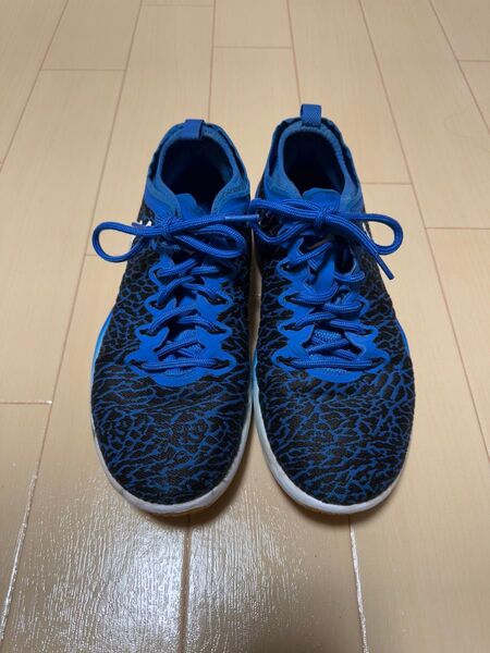 Jordan バスケットシューズ 青/黒
