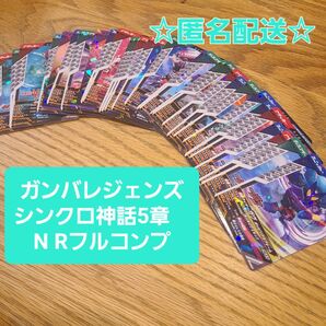 仮面ライダー ガンバレジェンズ シンクロマイス 5章 N R コンプリート