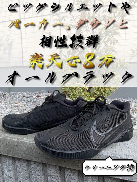 【オールブラック】 廃盤 希少 黒スニーカー NIKE ナイキ メトコン ターボ