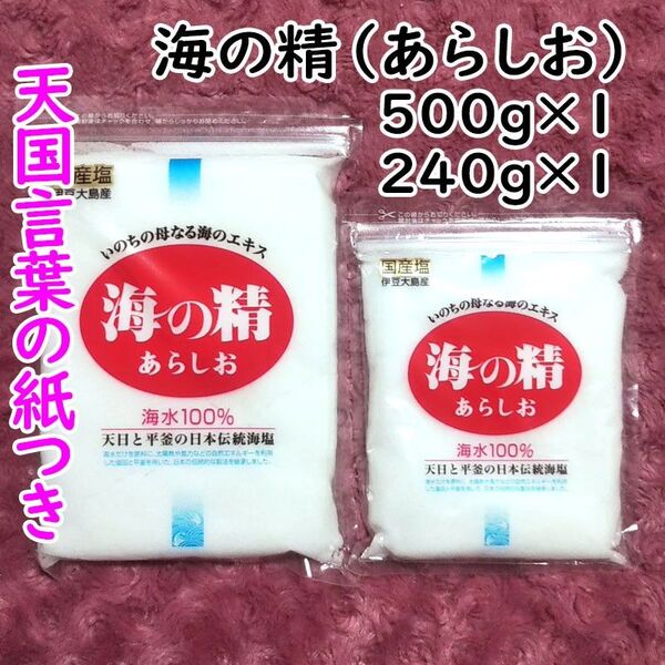 【240g+500g】斎藤一人さんオススメの自然塩「海の精」あらしお 天国言葉の紙つき