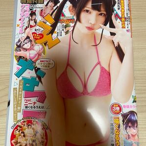 ヤングアニマル 2023年13号 えなこ等