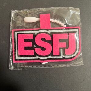 MBTI診断 キーホルダー 16型診断チャーム ESFJ