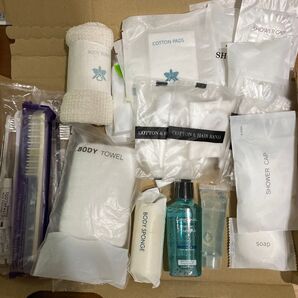 ホテル アメニティ詰め合わせ 歯ブラシ15本入
