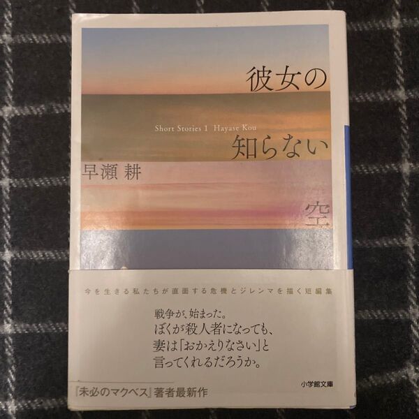 初版【匿名配送】『彼女の知らない空』 早瀬耕 小学館文庫