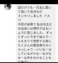 御加護蝶お守り艶の触れる不思議な白蛇皮　金運恋愛アップ　陰陽師手作りお守り　ヤフオク評価あります。_画像8