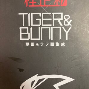 ウイングマンとツイッターで人気急上昇!桂正和「TIGER&BUNNY原画&ラフ画集成MASAKAZUKATSURADESIGN」