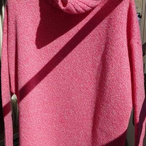 新品 agnes bニット