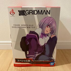 新品未開封 SSSS.GRIDMAN 一番くじ 新条アカネ スペシャル賞