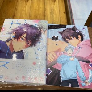 泣きむしのポラリス (MFCジーンピクシブシリーズ) 伊戸川チェル/著 リーフレット付