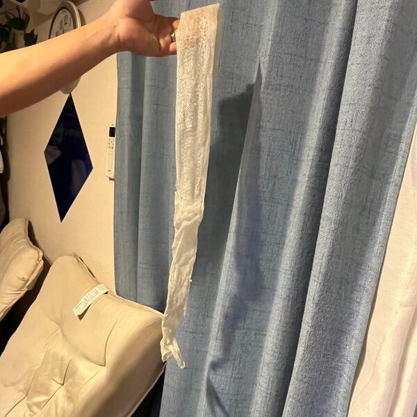 白蛇の抜け殻 縁起物 蛇皮 蛇の抜け殻