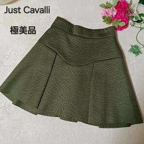 Just Cavalli プリーツスカート フレアスカート ジャガード織り S・ジャストカヴァリ・ ミニスカート ひざ丈 スカート