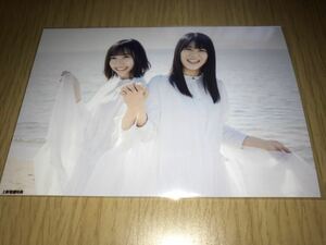 STU48 無謀な夢は覚めることがない 上新電機 特典 生写真 薮下楓 矢野帆夏 数量2