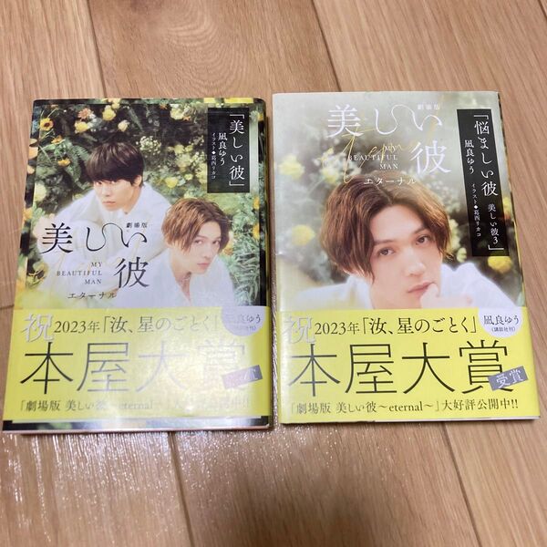 美しい彼 小説 BL