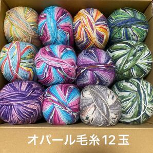opal毛糸 KFS 12玉セット レアカラー